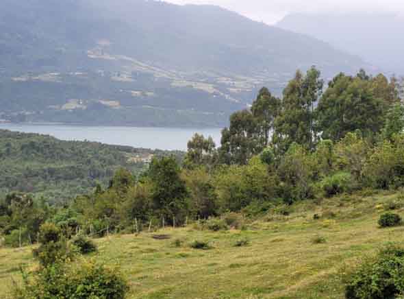 1875