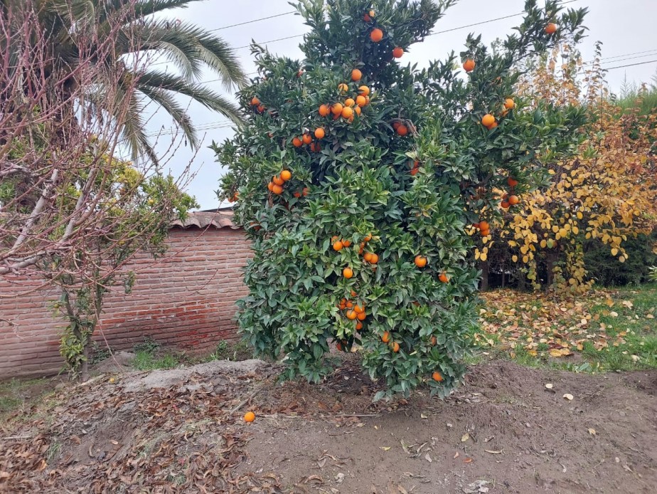 2536